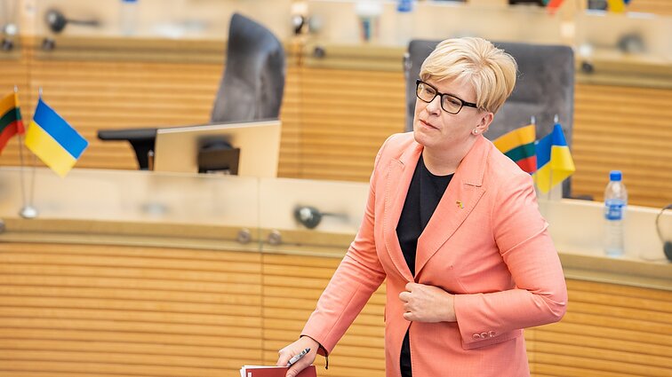 Šimonytė nesutinka, kad elektros rinkos liberalizavimas privedė prie chaoso: „Perlo Energijos“ klientais bus pasirūpinta