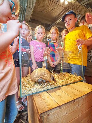 Naujas gyventojas Vilniaus zoologijos sode Naujas gyventojas Vilniaus zoologijos sode