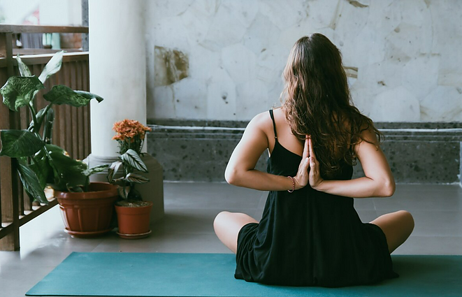 Vilniaus Botanikos sode – „Žvalumo diena 2022“: kokie renginiai laukia lankytojų?