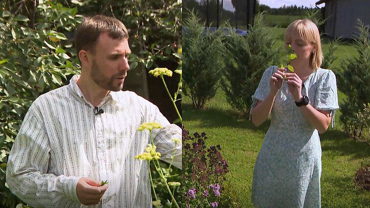 Gyvenk kaip galima švariau. Būstas, kuriame popieriniai maišeliai ir vėduoklės tampa šviestuvais bei namas, pastatytas iš šiaudų