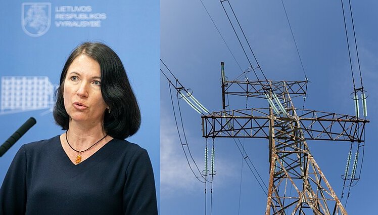 Energijos taupymo priemonių planą pristačiusi viceministrė: kiekvienas galime bent maža dalimi prisidėti, kad mažėtų energijos vartojimas
