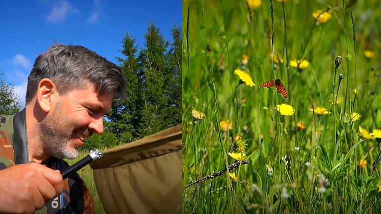 Gamtininko užrašai. Atskiras pievų pasaulis: ką beieškant vabzdžių pavyko sugauti Mariui Čepuliui?