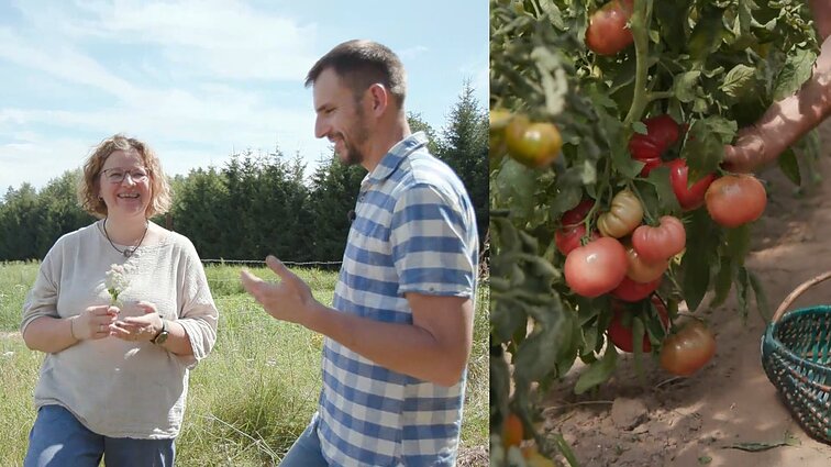Leonaičiai augina senųjų veislių daržoves ir kuria „Laimingų daržovių ūkį“: gėrybėmis apdalija ir kaimynus, ir svečius