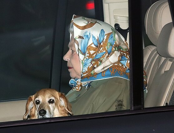 Karalienė Elžbieta II ir jos augintiniai