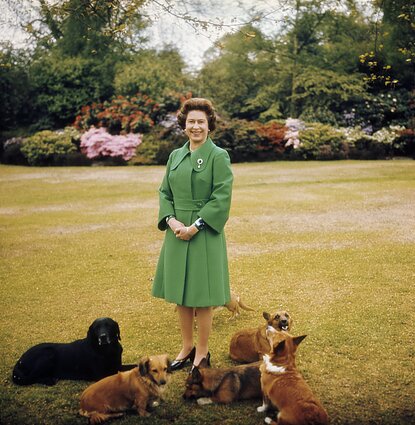 Karalienė Elžbieta II ir jos augintiniai
