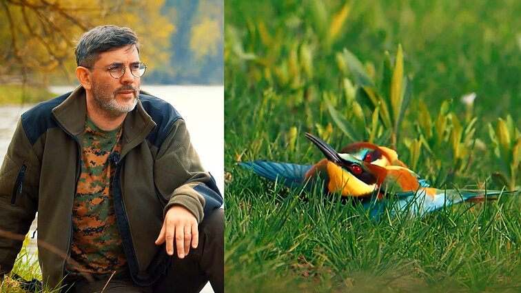 Gamtininko užrašai. Bitininkų kovą užfiksavęs Čepulis: nesitiki, kad toks gražus paukštis gali būti toks aršus