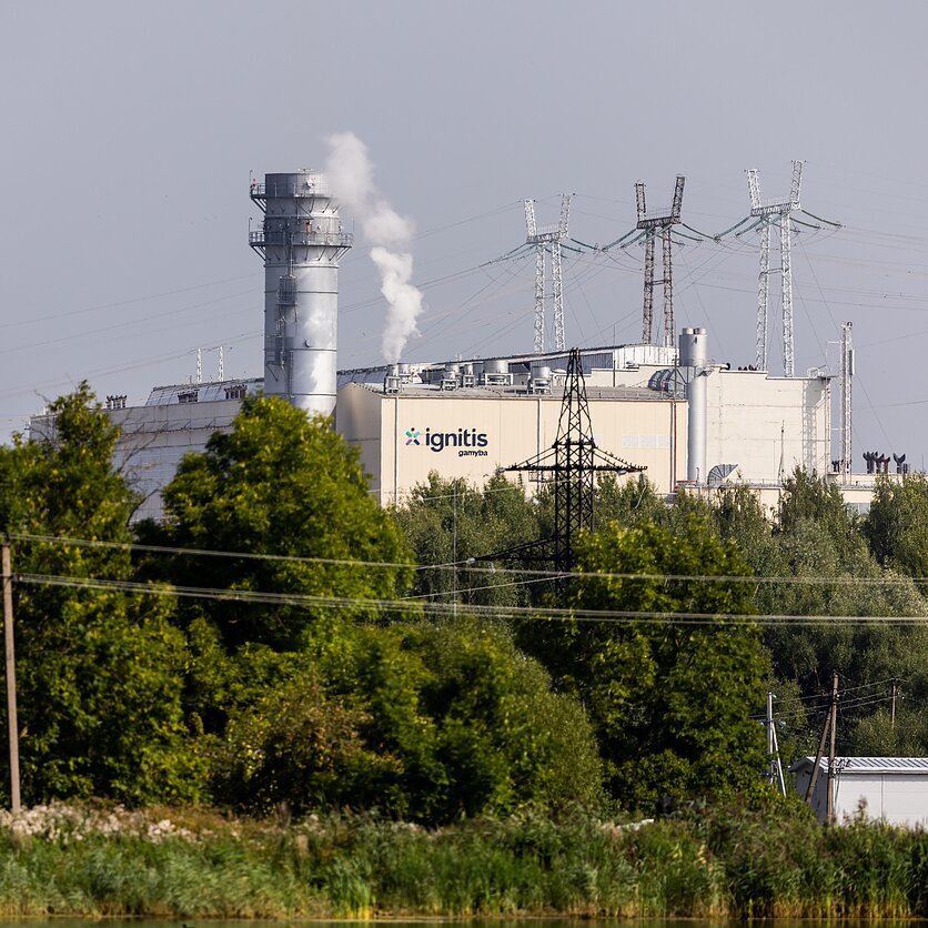 E. Blažio / LRT nuotr., Elektra