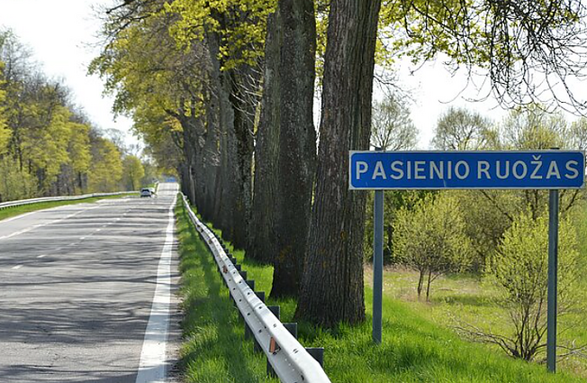 Skvernelis: Lietuva neturėtų įsileisti nuo mobilizacijos Rusijoje bėgančių asmenų