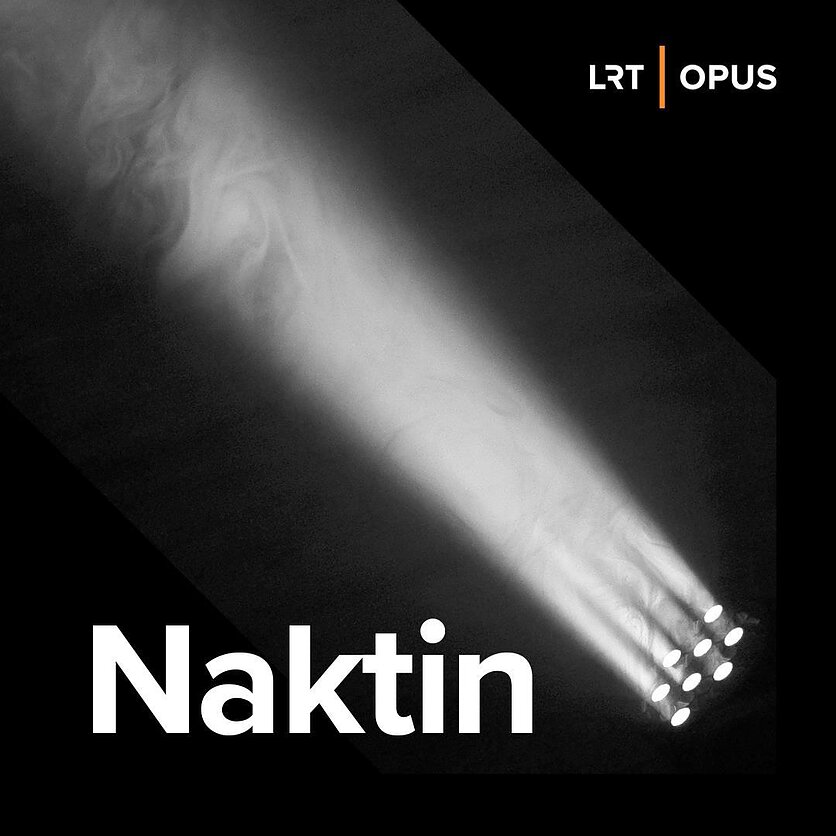 Naktin. Ukrainos muzikinis filtras alternatyviems šokaims