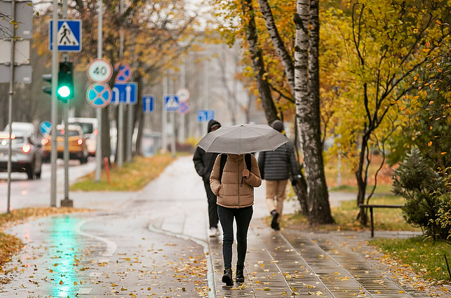Meteorologas Dikčius: laukia lietinga savaitė, bobų vasaros dar nesulaukėme, spalis – artimas normai