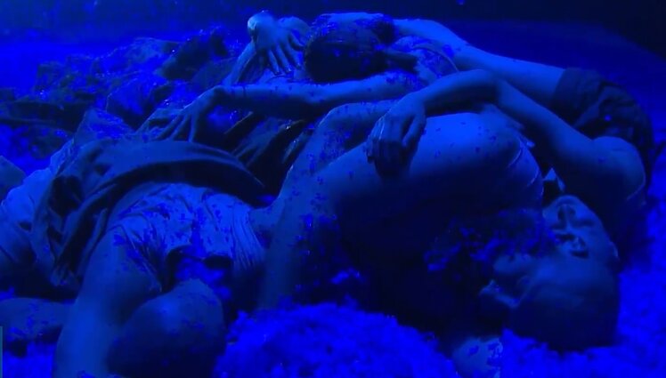 Įkvėptas Trojos atradėjo: Šeiko šokio teatras pristato spektaklį „Indigo. Das Schliemann Projekt“