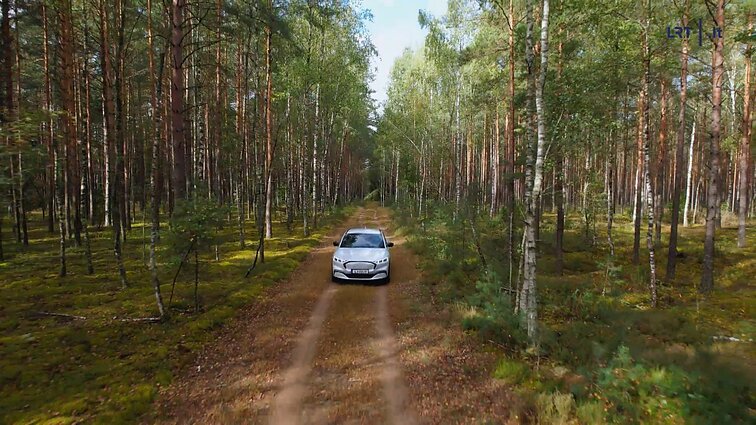 Elektromobilis miške