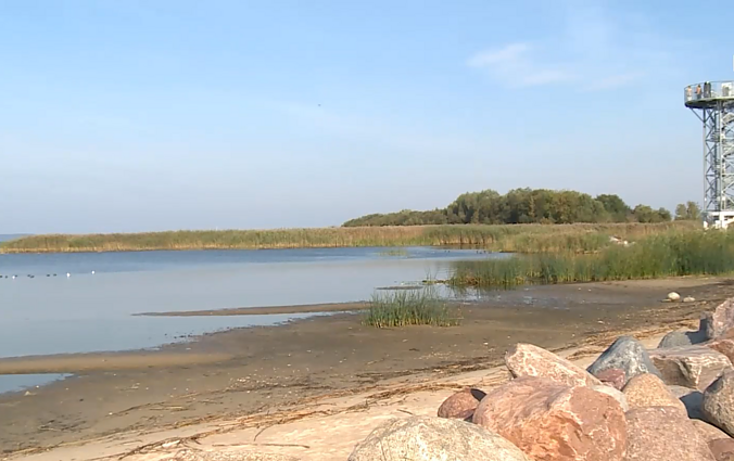 Pamaryje kviečia pasivaikščioti „Paukščių takais“ ir susipažinti su čia žiemojančiais paukščiais