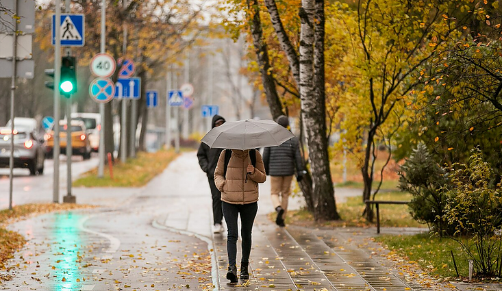 Artimiausią savaitę sinoptikė prognozuoja lietų ir šalnas dirvos paviršiuje: apie bobų vasarą dar nekalbėsime
