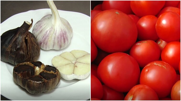 Gyventi kaime gera. Juodųjų česnakų verslas ir sėkmingu ūkiu virtusi emigrantų duona