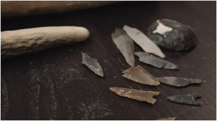 Istorijos detektyvai. Akmenų sąsajos su ašmenimis ir kaip bulvė atkeliavo į Lietuvą