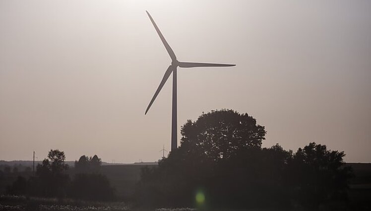 Europai išgyvenant ekonominę krizę, kenčia ne visi: kaip Belgijai pavyksta išlaikyti stabilias kainas?