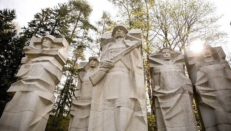 Dobrowolska apie JT Žmogaus teisių komiteto įsikišimą į sovietinių skulptūrų nukėlimo procesą: komitetas suklaidintas