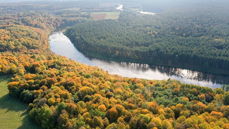 Temperatūros šoktelėjimas primins vasarą: kai kur sušils ir iki 20 laipsnių