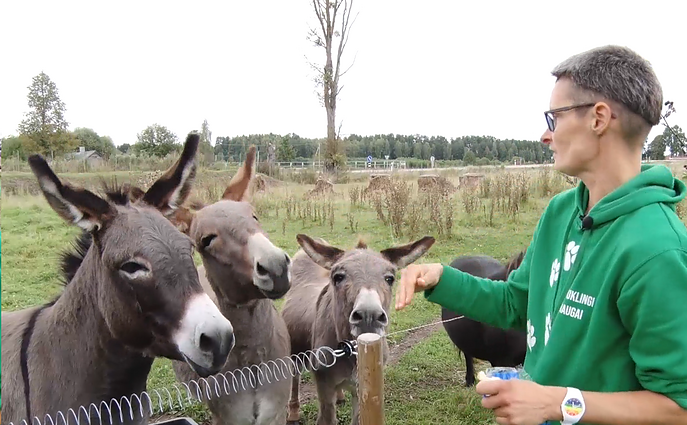 Gyvūnų mylėtoja: posakį, kad asilai užsispyrę, sugalvojo tas, kas bandė jį priversti kažką daryti