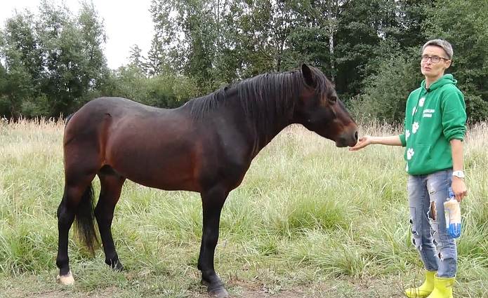 Gyventi kaime gera. Ką geba žmonių išduoti gyvūnai bei kokį seniausią augalą galima rasti pievose