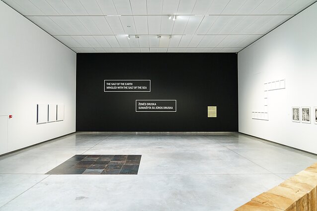 MO muziejaus ir LRT projektas „5 pasaulio meno istorijos“: meno esmė slypi idėjose