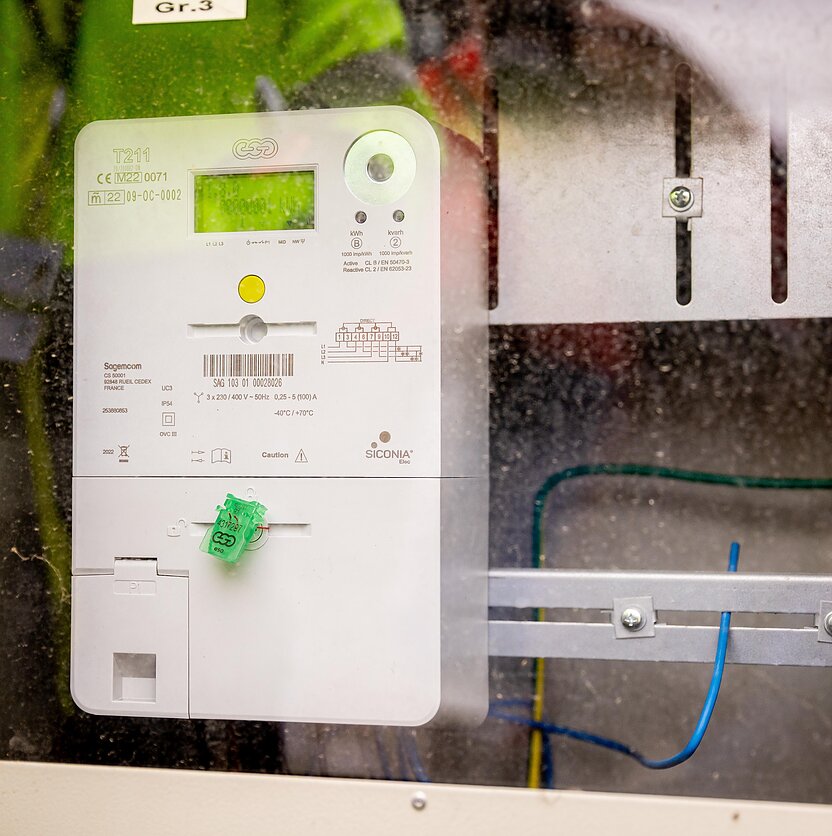 D. Umbraso  / LRT nuotr., Išmanusis elektros skaitiklis