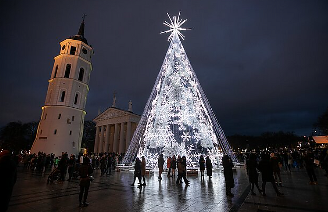 Lietuva kalba. Malinauskas: pats kvailiausias dalykas yra išleisti 230 tūkst. eurų eglei ir gauti blogą emociją
