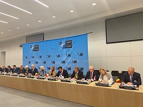 European Sky Shield Initiative