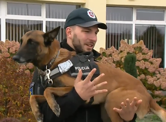 Tarnybinių šunų varžybos: jiems tai buvo vienas didelis žaidimas