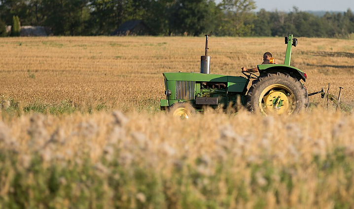 Panorama. Daugiausia ES kviečių eksportuojančiai Lietuvai atsiveria dar viena rinka – Meksikos (su vert. į gestų k.)