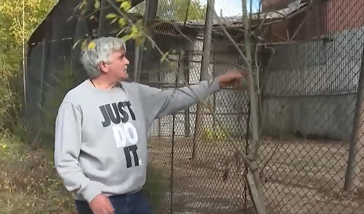 Konfliktai dėl iškirstų medžių: aplinkosaugininkai primena, kad prieš imantis veiksmų reikėtų susitarti su kaimynais