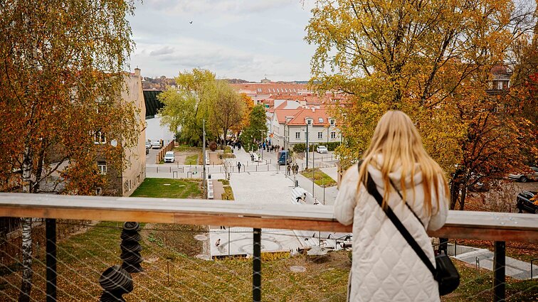Naktimis vis sulauksime šalnų, o per ateinančią savaitę šilumos sulauksime vis mažiau