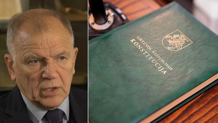 Konstituciją kartu su bendražygiais kūręs Andriukaitis: būtent čia užprogramuoti prezidento ir premjero nesutarimai