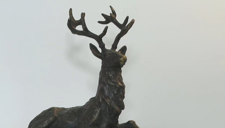 Medžioklė kitoje šviesoje: Alytuje surengta paroda, supažindinanti su medžiotojų kultūra ir tradicijomis