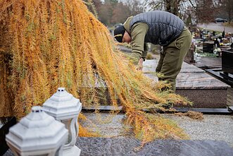 Karveliškių kapinės