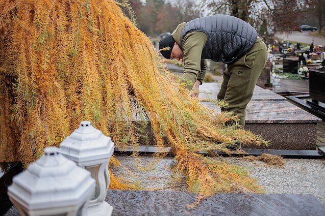 Karveliškių kapinės