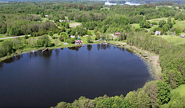 Dovilės Vilkevičiūtės sodyba