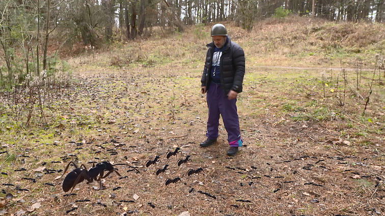 Dviračio žinios. Mokslininkas Giedrius: dirbu su kovinėmis NATO skruzdėlėmis