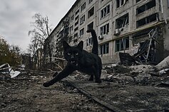 Rusijos karas prieš Ukrainą
