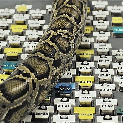 Pilno metro. Nebesuvaldomas branduolinis žmogaus sukurtas monstras Emilijos Škarnulytės „Kapinyne“