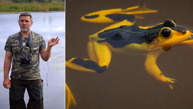 Unikalią varlę Marijampolės rajone aptikęs Čepulis: tokios nėra matę net pasaulinio lygio mokslininkai