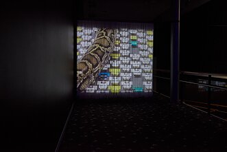 Emilijos Škarnulytės filmo „Kapinynas“ premjera