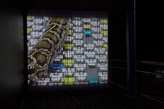 Emilijos Škarnulytės filmo „Kapinynas“ premjera