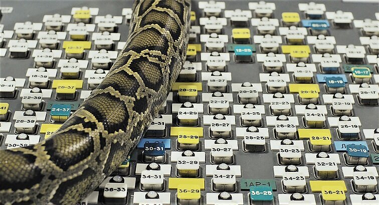 Škarnulytės filmo „Kapinynas“ premjera: įamžintas branduolinės energijos ciklas