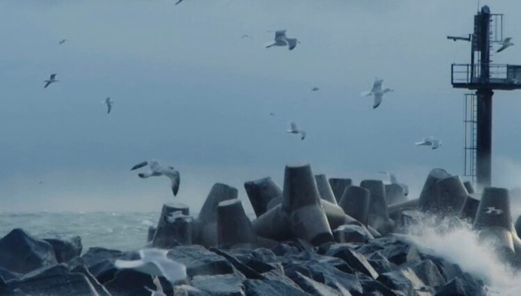 Kino naujienos. Atradimai dokumentikos, komedijos ir trilerio gerbėjams, laukia ir „Scanoramos“ seansai