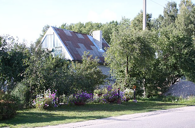 Labas rytas, Lietuva II d. Kaip stogus ir balkonus reikėtų paruošti žiemai?