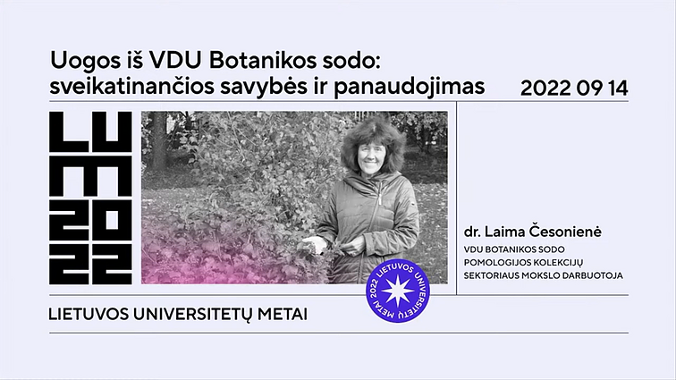 Atviri universitetai. Paskaita „Uogos iš VDU Botanikos sodo: sveikatinančios savybės ir panaudojimas“