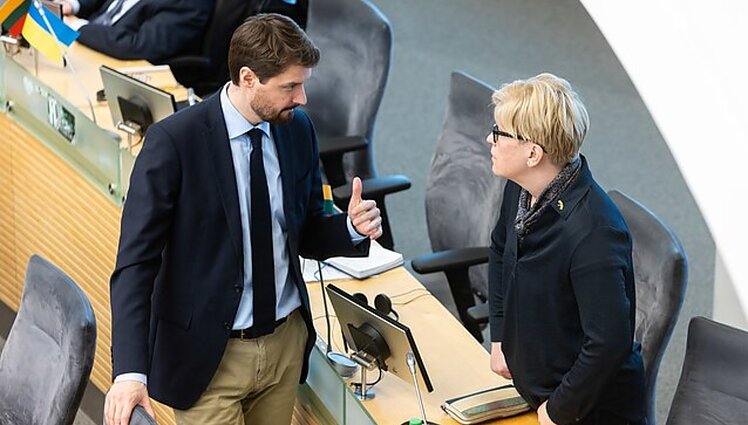 Politologė: pagal Šimonytės retoriką suprantu, jog Majauskas beveik visus kelius susidegino