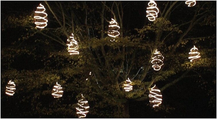 Londono botanikos sodas ruošiasi Kalėdoms: įvairūs šviečiantys ornamentai pabrėžia supančius gamtos objektus